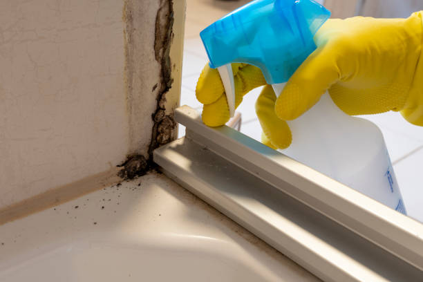 Cave Spring, VA Mold Remediation Company