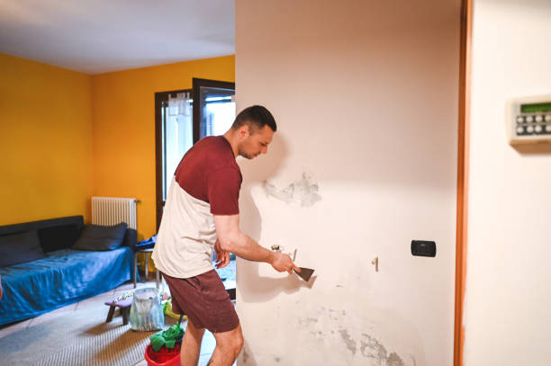 Best Residential Mold Remediation in Cave Spring, VA